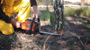 Best Soil Testing and Treatment  in Southport, NC